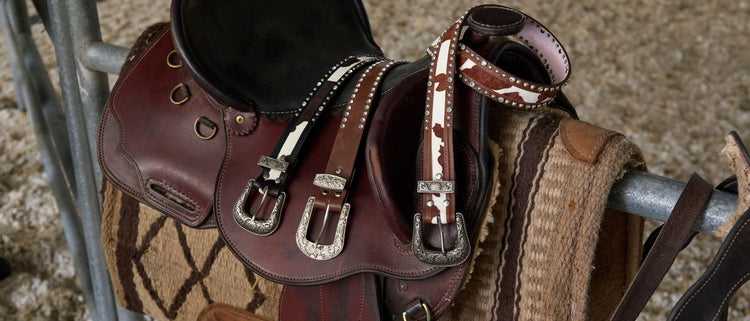 Mens Belts