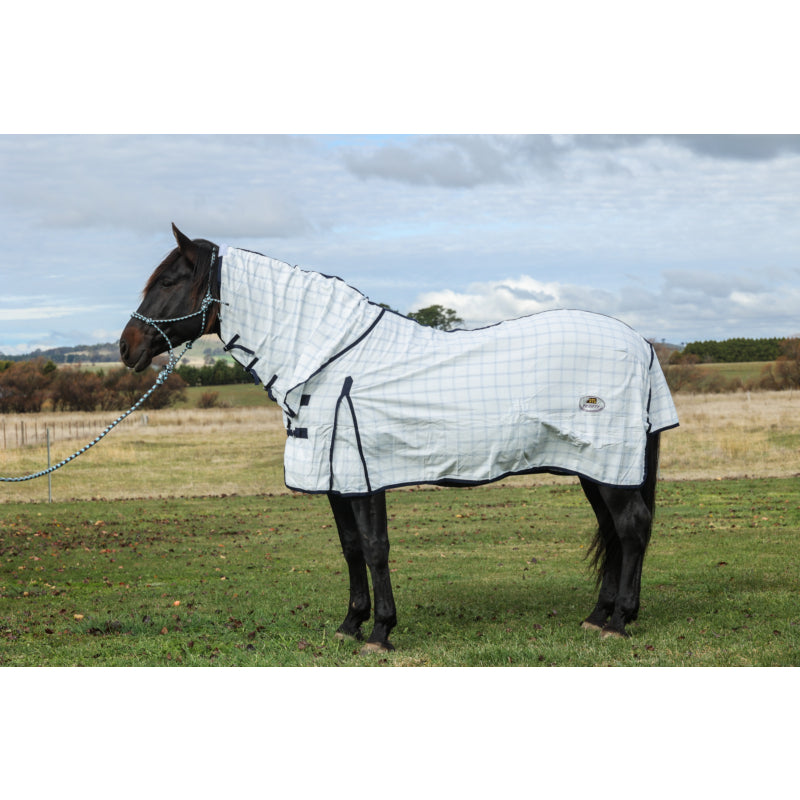 🐴 Thrifty Combo Rug - 5"9