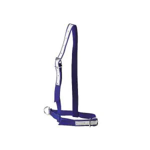 Webbing Cow Halter – Heavy Duty (36mm)