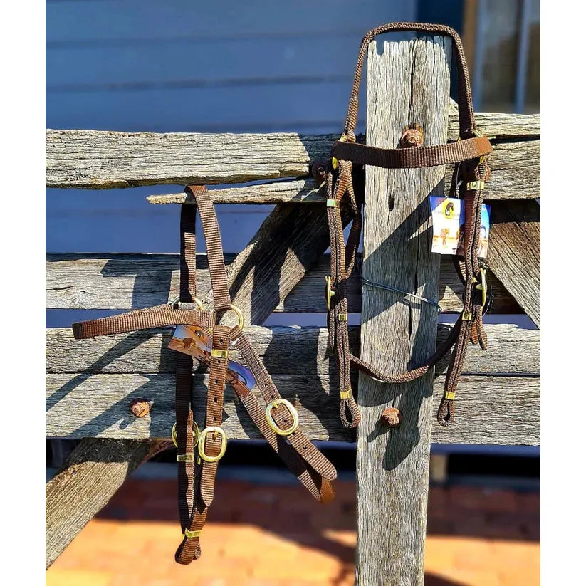 Toprail Equine - Webbing Work Bridle