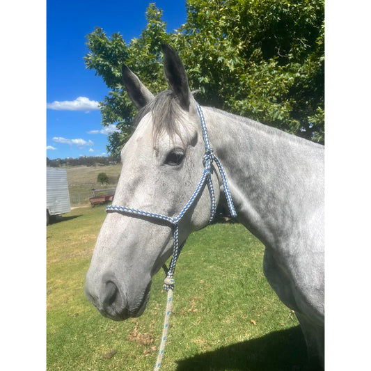 Hudson’s Halter – Quality No-Knot Halter & Lead