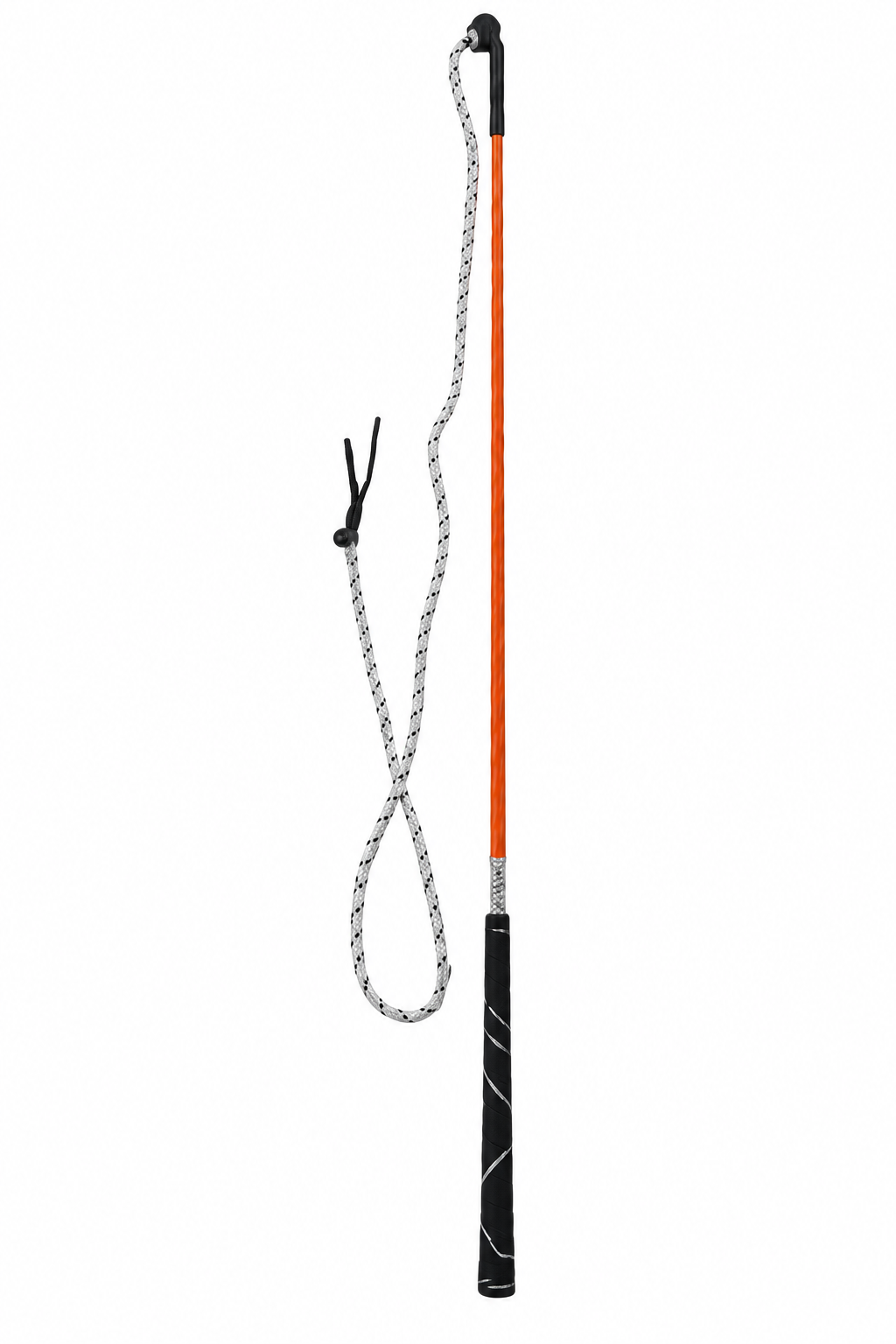 Training Whip