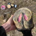 Beeswax PINK Balls