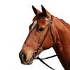 Plain Leather Snaffle Bridle - Brown