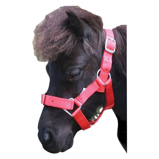 Buckle Halter Shetland
