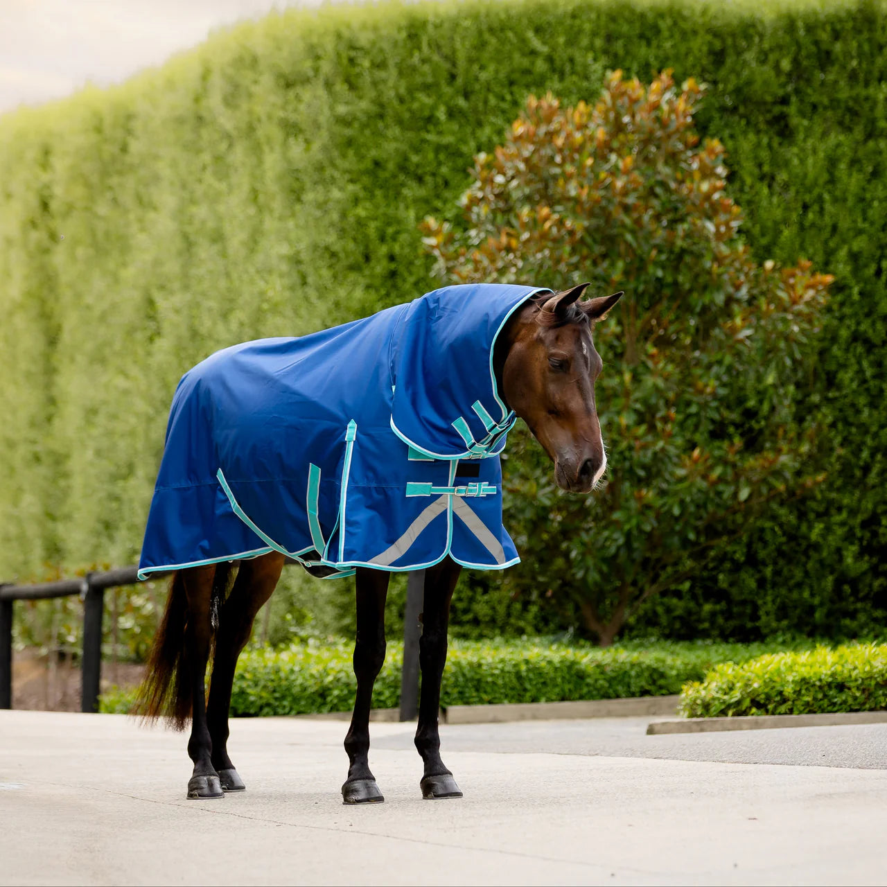 EquestPro Blue Bolt 600D Combo Rug – 100g