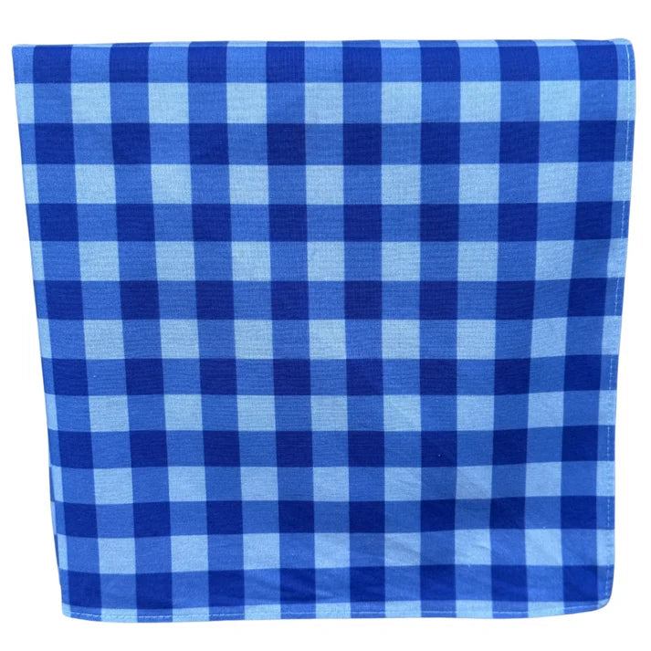Bush Mits Hamilton Blue Gingham Neck Scarf