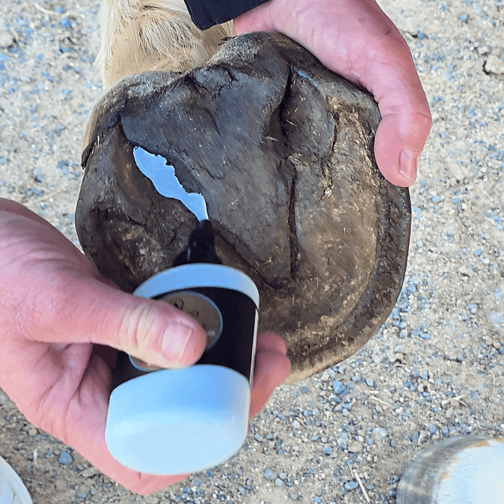Hoof IX™ Blue Squeezable Hoof Liquid