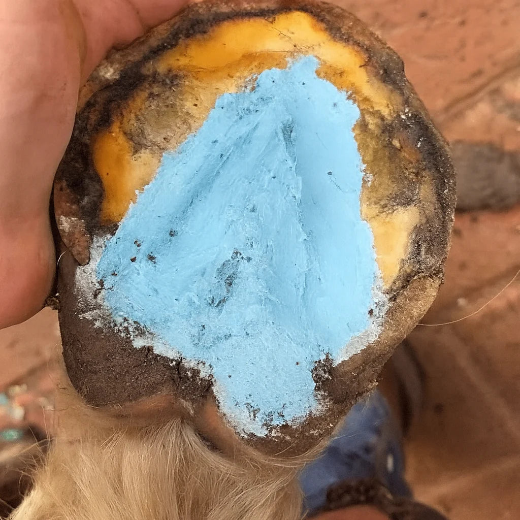 Hoof Paste Blue – Hoof Care Paste 300gm