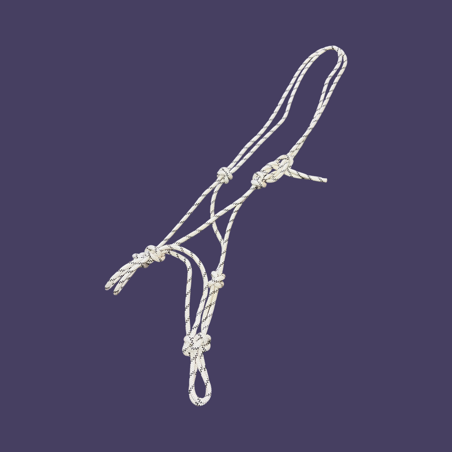 Blackie's Handmade Halters