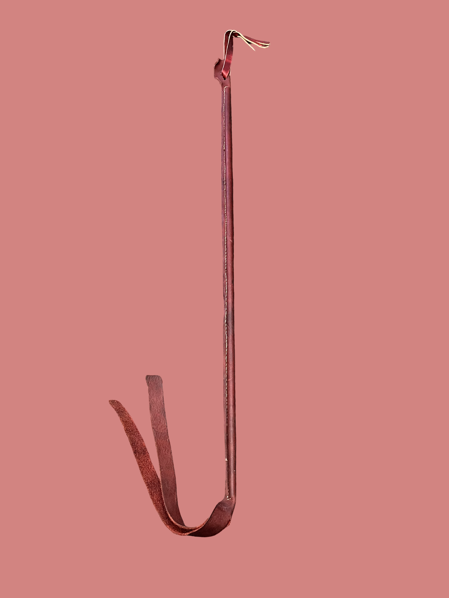 Hand-Crafted Leather Cattle Cane