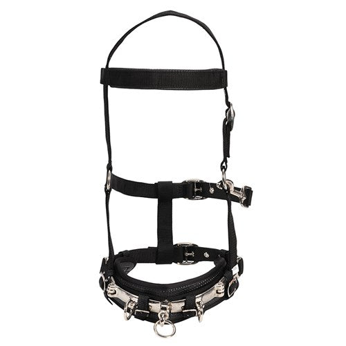 Equi-Prene Lunge Cavesson