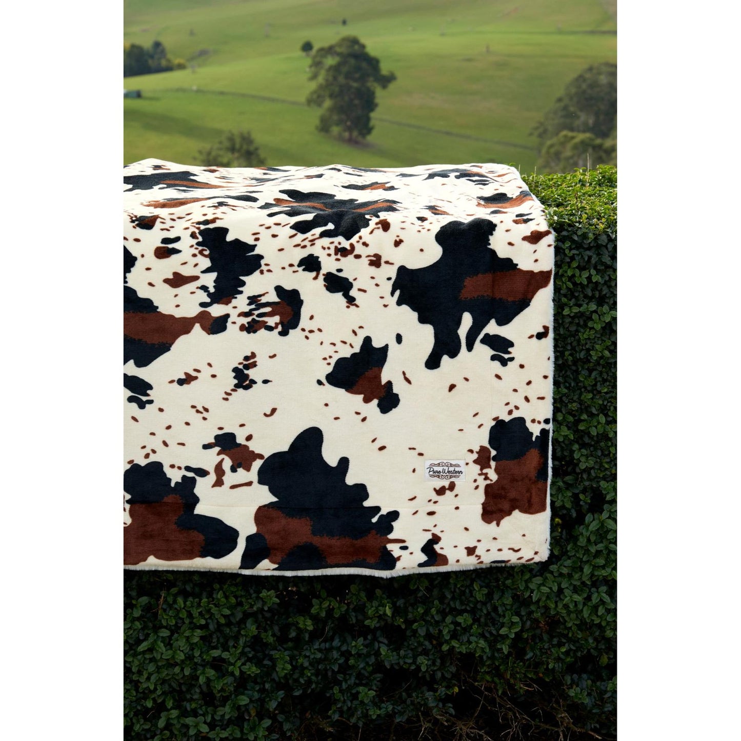 Pure Western - Cow Print Snuggle Blanket