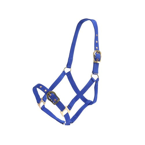 Rancher Halter w/Brass Buckles