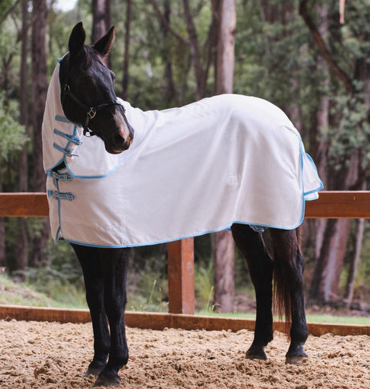 Flag Combo Horse Rugs