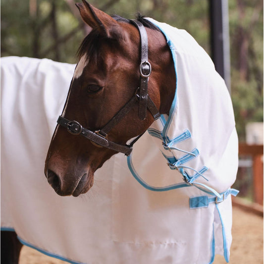 Flag Combo Horse Rugs