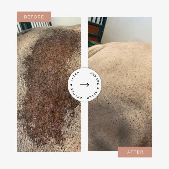 CuraPet® Remedeaz Oil