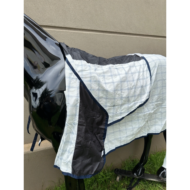 🐴 Thrifty Combo Rug - 5"9