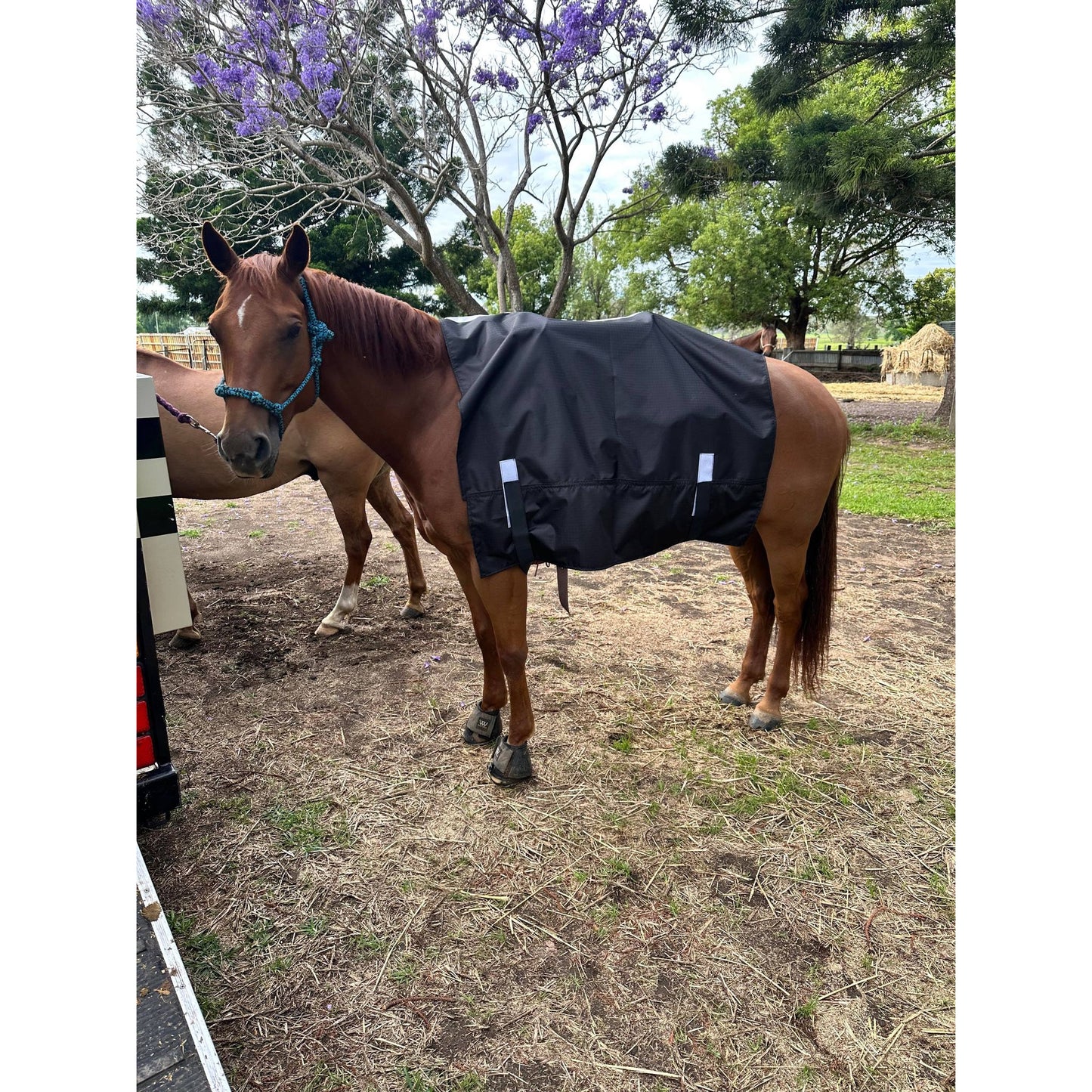 Saddle Rain Sheet Cover