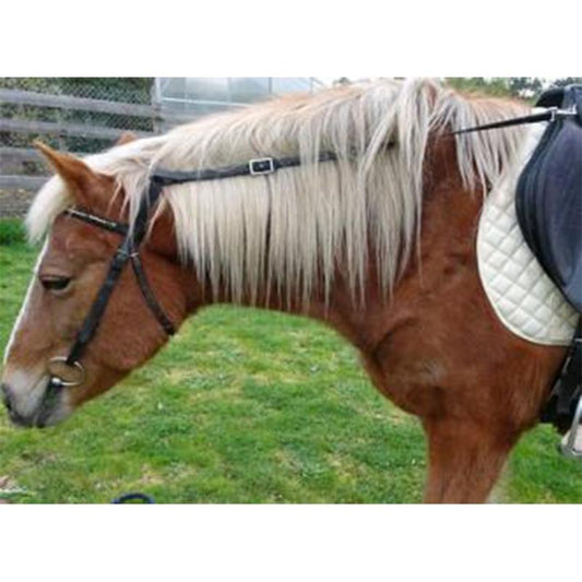 Grass Daisy Reins - PVC Black