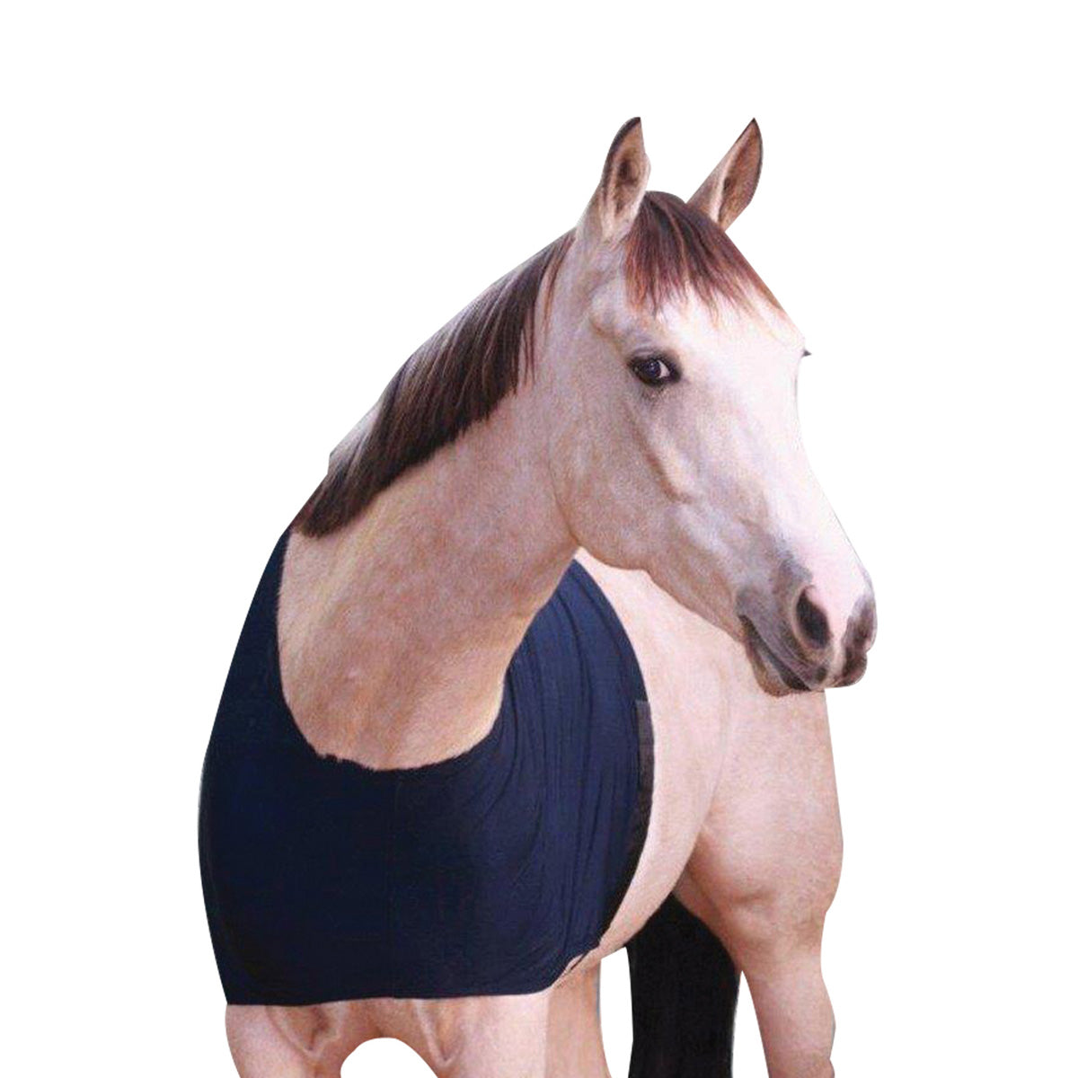 Lycra Chest & Wither Protector Bib