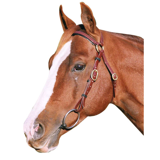 PVC Barcoo Bridle