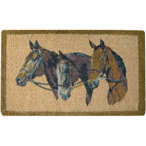Assorted Coir Mats