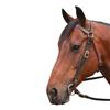 Brass Barcoo Bridle - Black