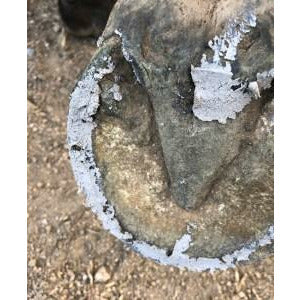 Good Gear Naturals - Hoof Clay