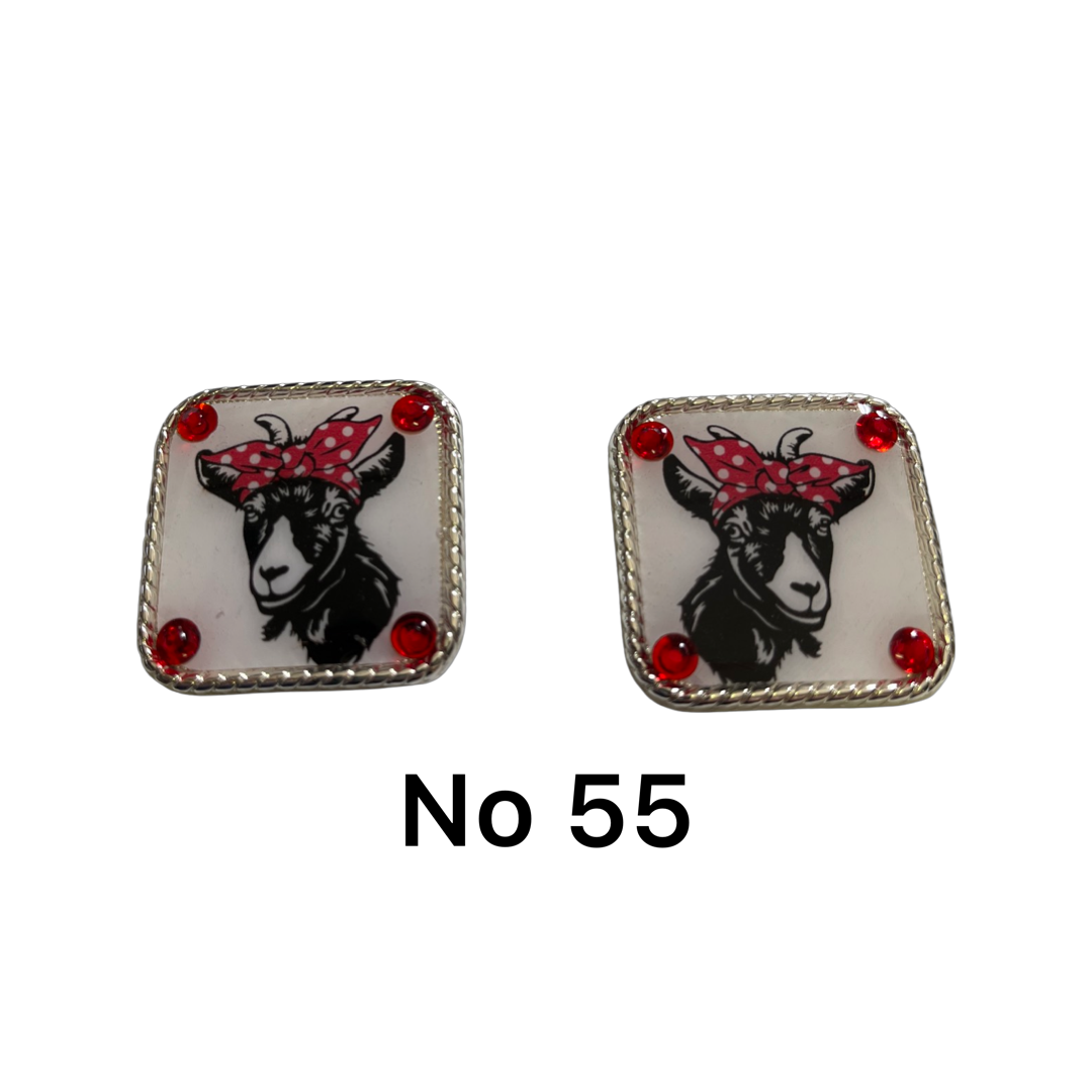 Sp*hers Concho no 55