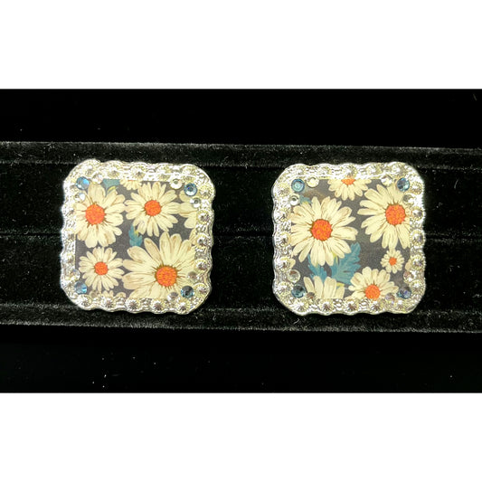 Sp*hers Concho no 34