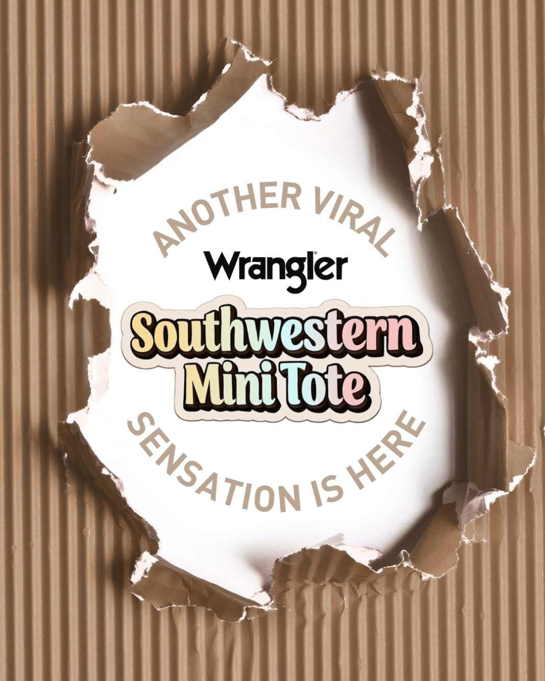 Wrangler Southwestern Mini Tote Blind Box