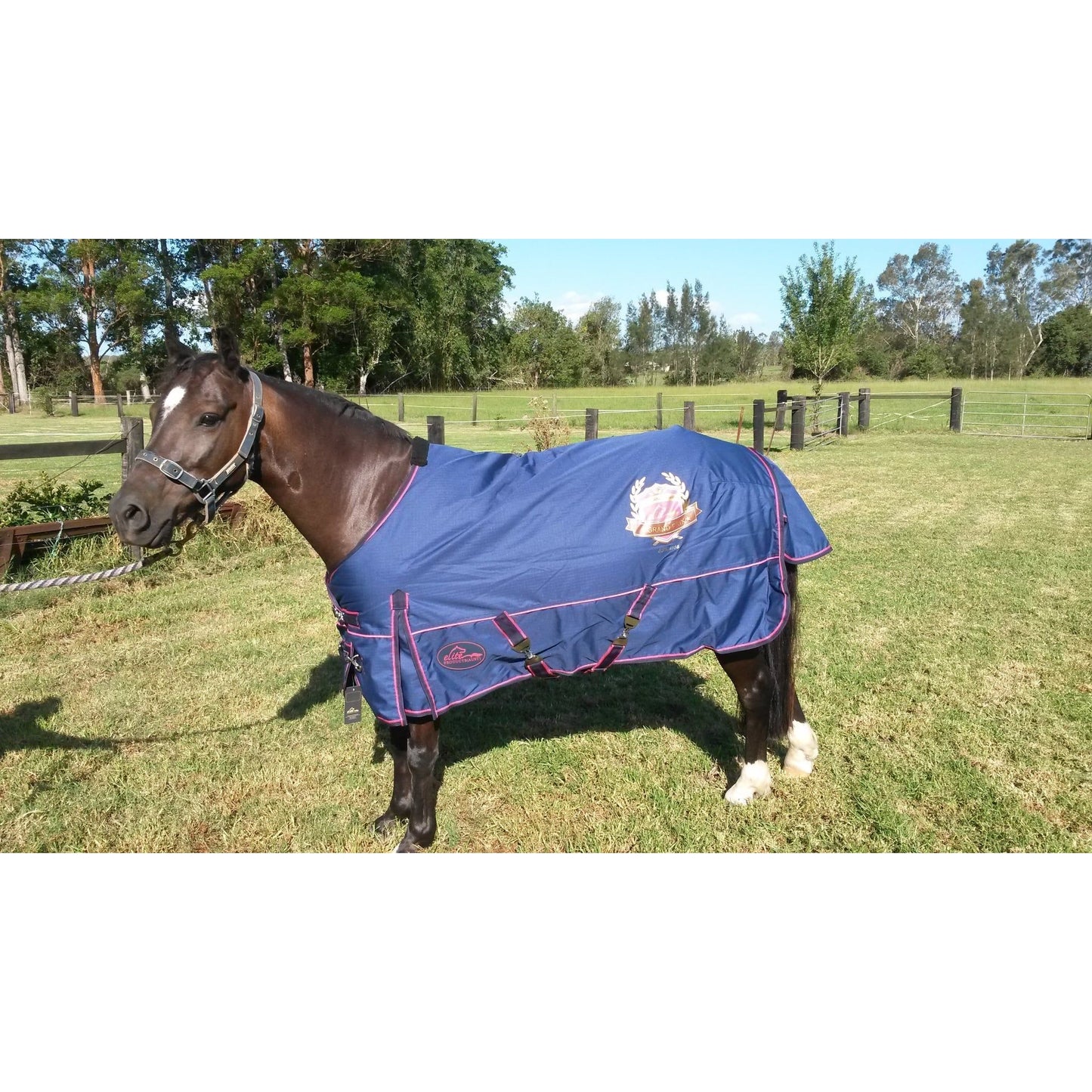 Elite 250gm Fill Winter Rug - Navy