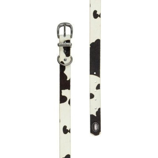 Pure Western – Adelaide Dog Collar
