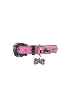 Pure Western - Tilly Dog Collar