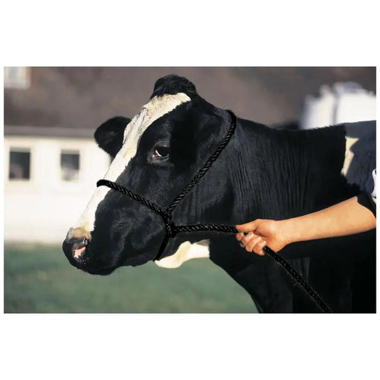 Poly Rope Cow Halter