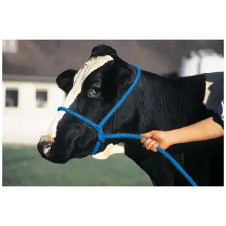 Poly Rope Cow Halter
