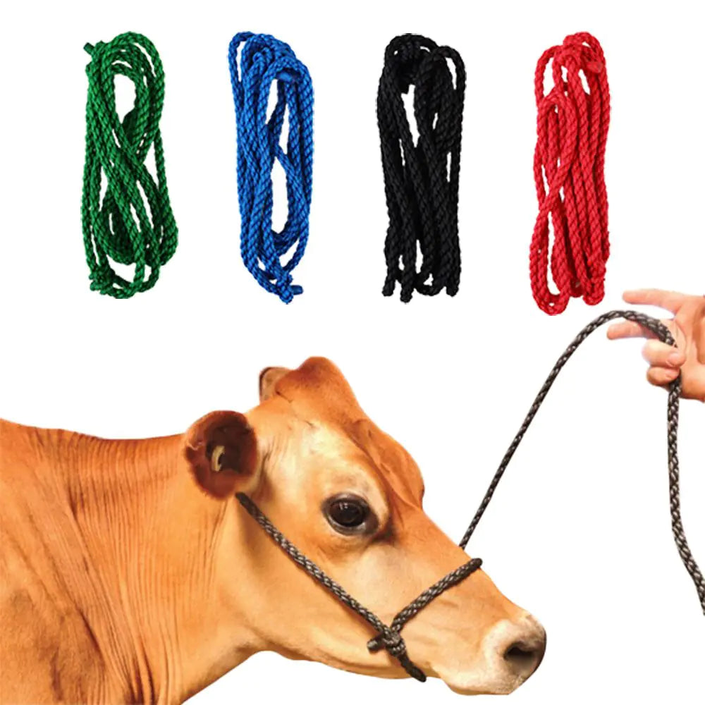 Poly Rope Cow Halter