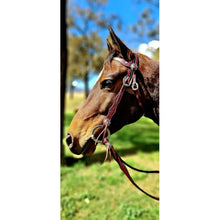 Load image into Gallery viewer, Toprail Equine -  “Yellowstone Rancher” Bridle and Rein set
