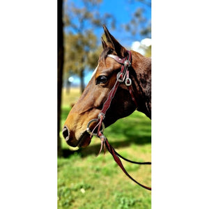 Toprail Equine -  “Yellowstone Rancher” Bridle and Rein set