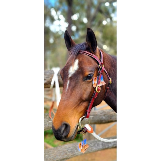 Toprail Equine - Bridle - Dark Raised Leather Plait Leather