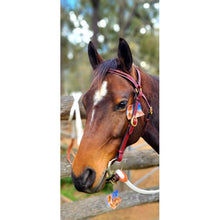 Load image into Gallery viewer, Toprail Equine - Bridle - Raised Leather Plait Golden Tan Leather – Size Full
