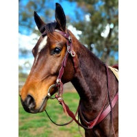Toprail Equine -  “Yellowstone Rancher” Bridle and Rein set