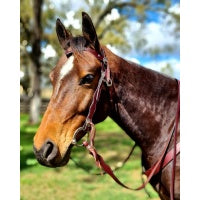 Toprail Equine -  “Yellowstone Rancher” Bridle and Rein set
