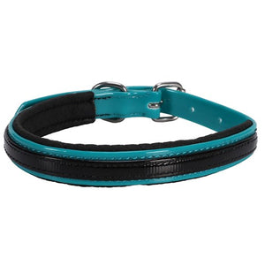 Horse Sense Two Tone Dog Collar 3/4" - Turquoise/Black