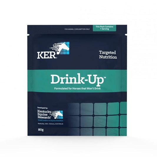Kentucky Drink-Up 80gm Sachet