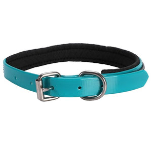 Horse Sense Two Tone Dog Collar 3/4" - Turquoise/Black