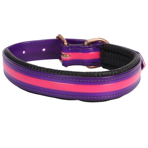 Horse Sense Two Tone Dog Collar 1" – Pink/Purple