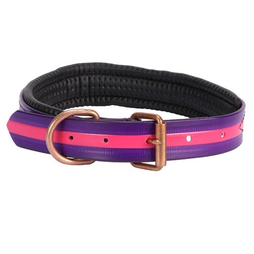 Horse Sense Two Tone Dog Collar 1" – Pink/Purple