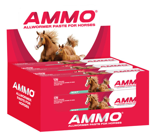 AMMO Allwormer Paste